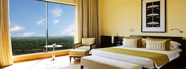 773/Hyatt Hyderabad Gachibowli - Hyderabad 09.jpg